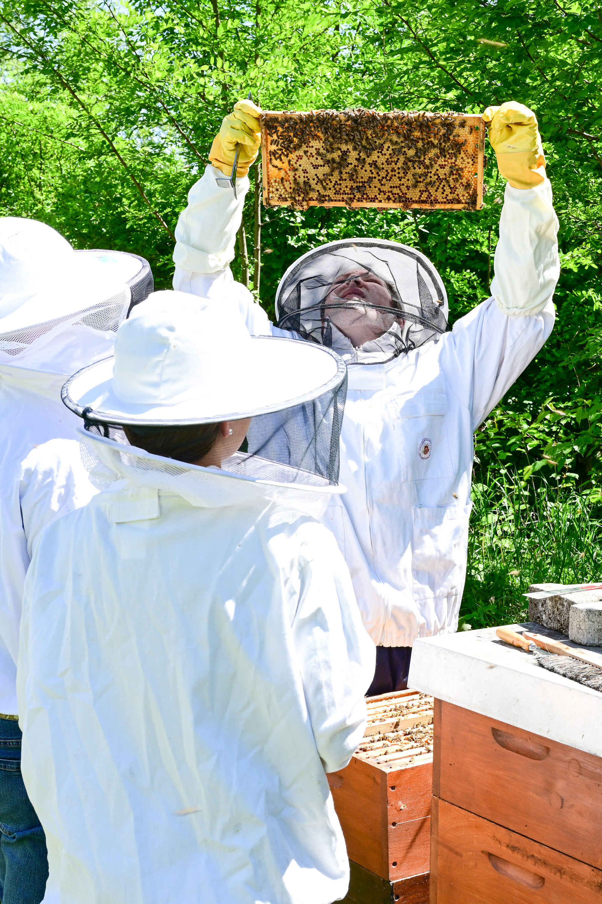 Für Imkerei-Neulinge ist es eine große Hilfe, wenn erfahrene Imkerinnen und Imker beim richtigen Umgang mit Bienen helfen