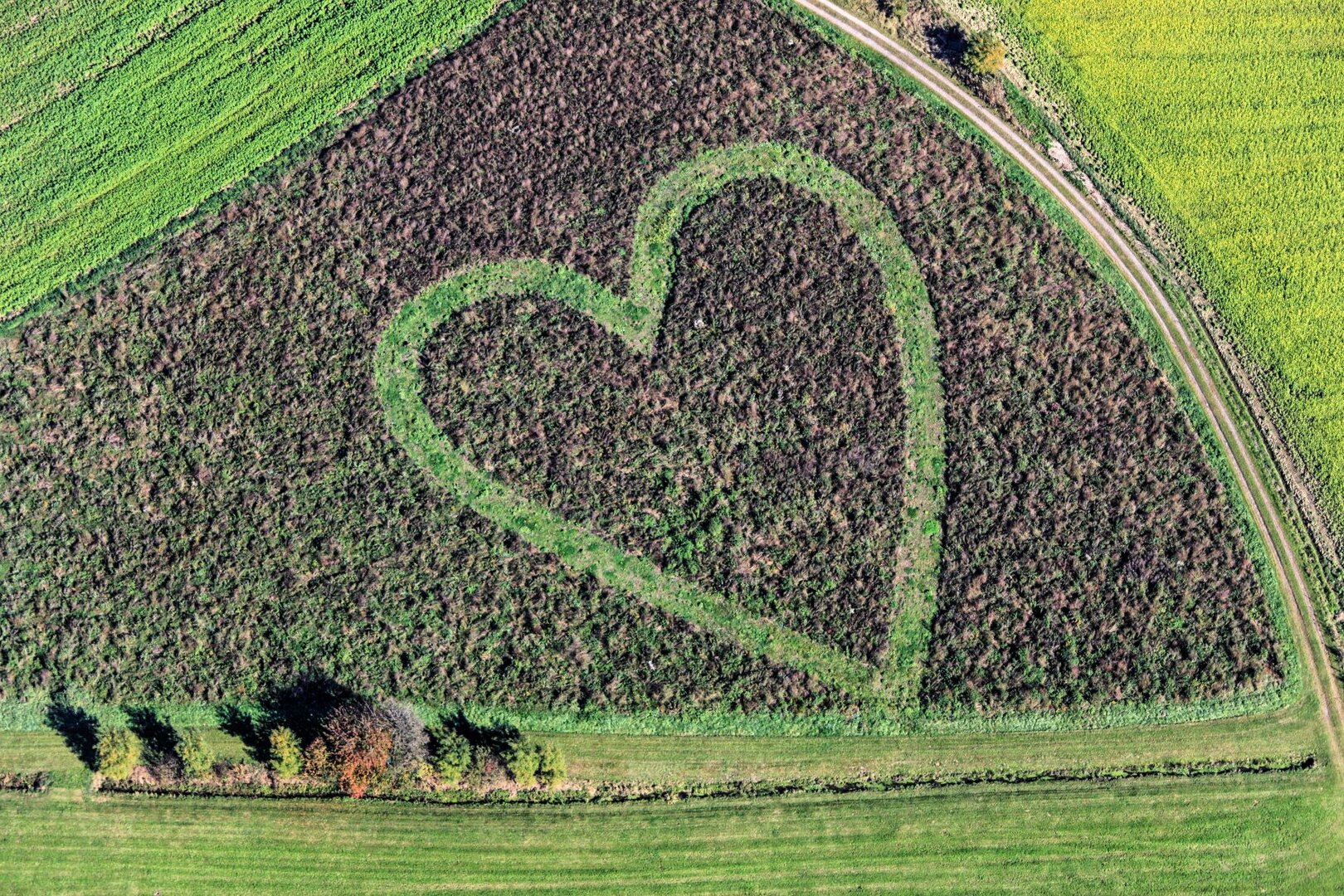 Bauernmalerei aus der Vogelperspektive | © Glentleiten/Klaus Leidorf