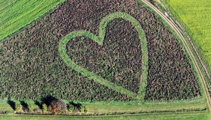 Bauernmalerei aus der Vogelperspektive | © Glentleiten/Klaus Leidorf