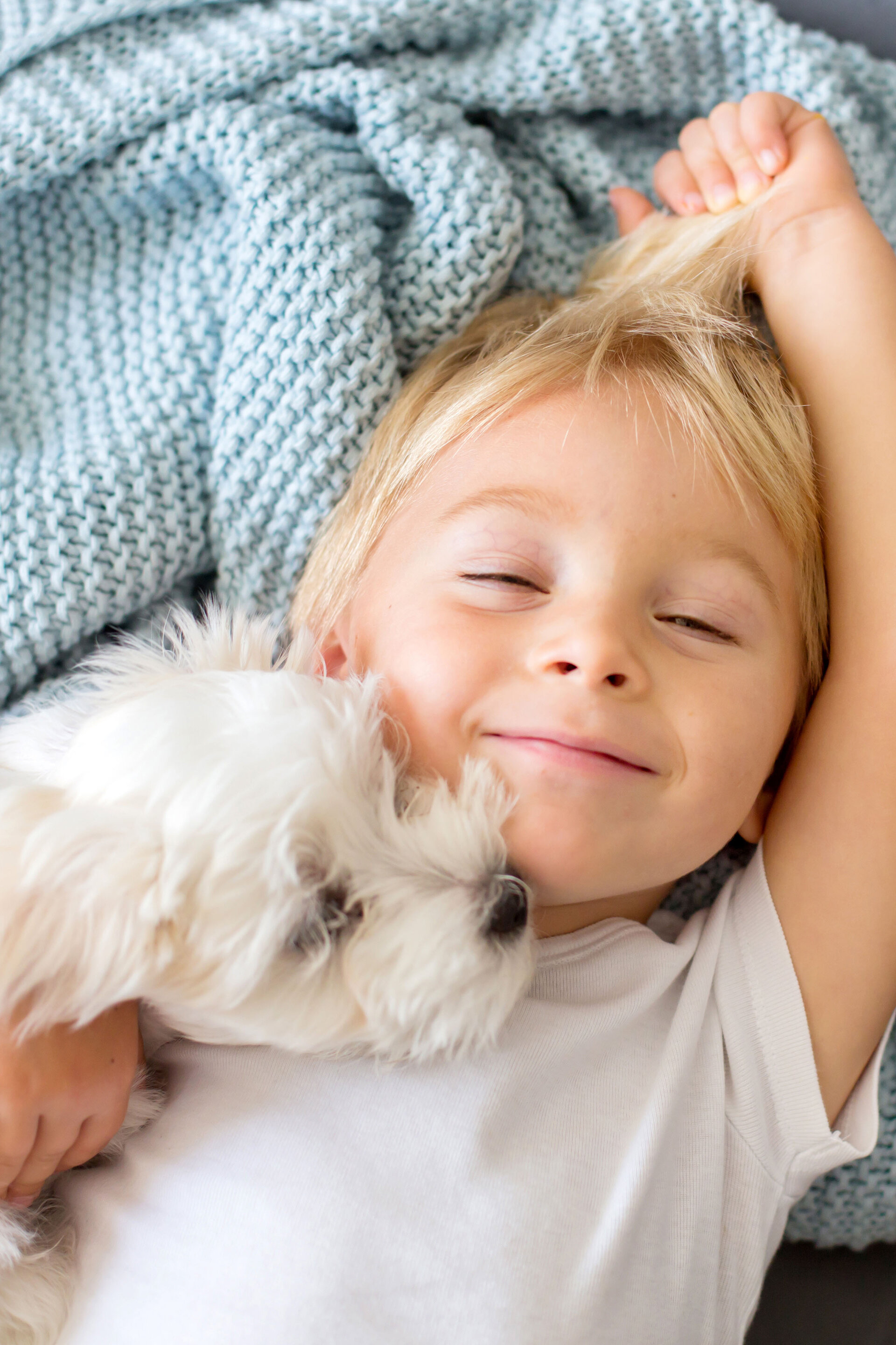 Gerade junge Tierhalter wollen beim Einschlafen nicht auf ihren vierbeinigen Liebling verzichten
