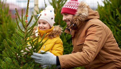 Tanne oder Fichte? Es gibt ein paar Dinge, die Sie beim Kauf Ihres Weihnachtsbaumes beachten sollten | © Shutterstock/Ground Picture