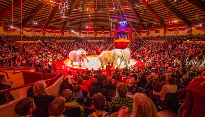 © Circus-Krone.de