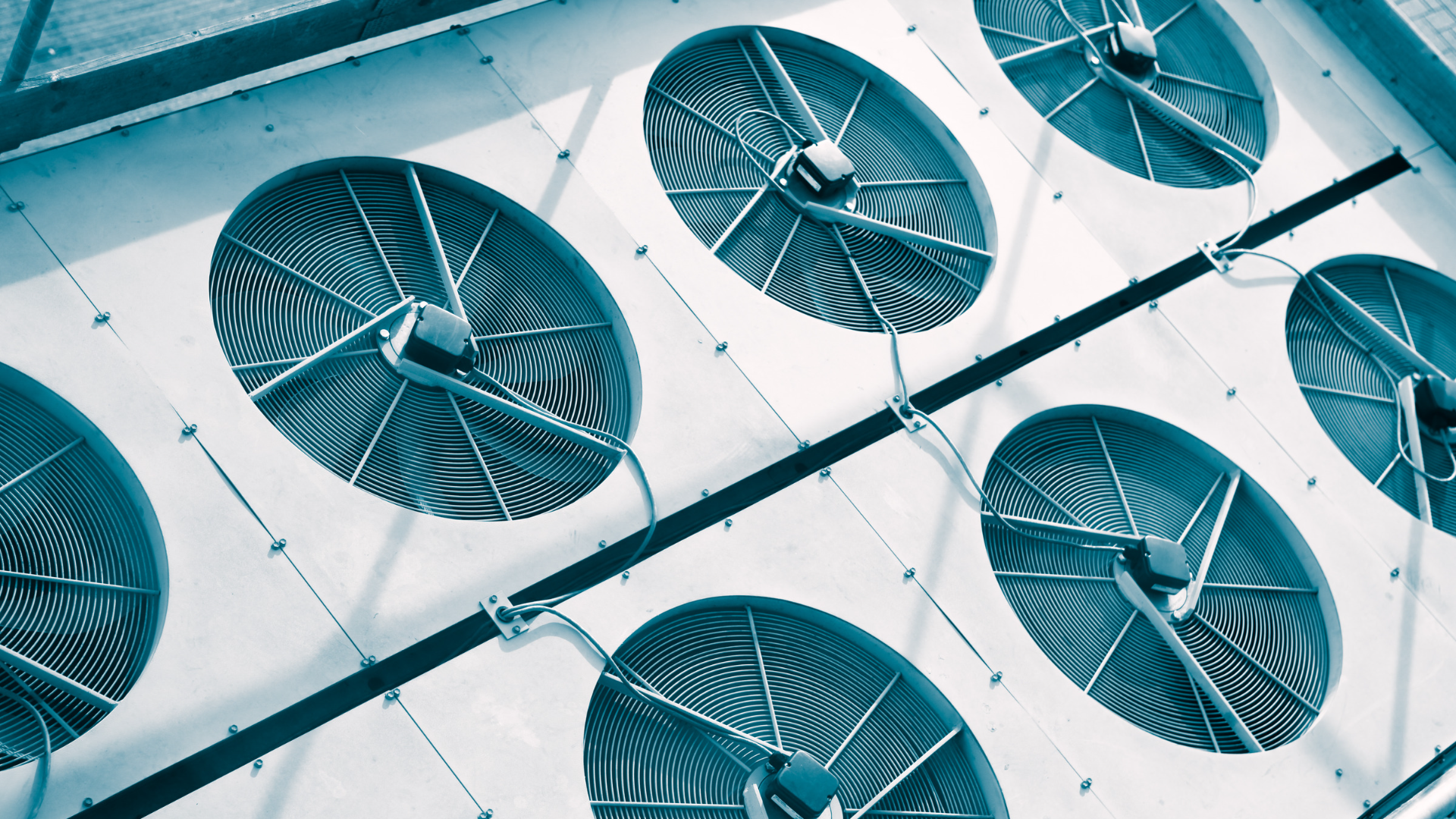 © LdF von Getty Images Signature