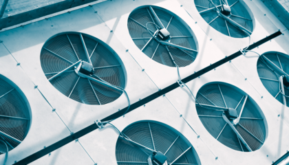 © LdF von Getty Images Signature