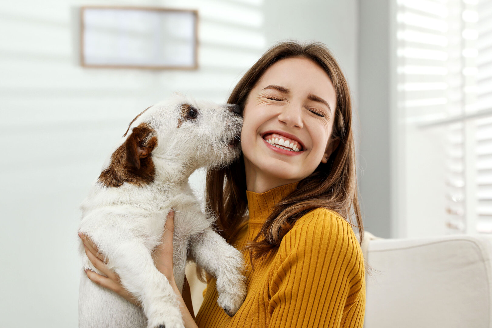 Hund entspannt, Mensch happy: Mit der richtigen Fürsorge können Tiere Stresssituationen gut meistern | © djd/HeelVet/New Africa/Shutterstock