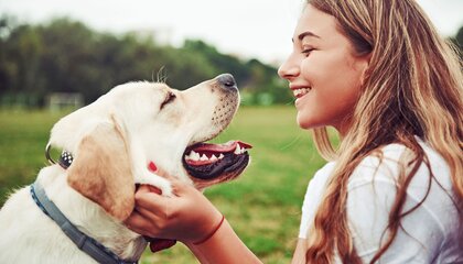 Gerade größere Hunde neigen manchmal zu Verdauungsbeschwerden. Dann kann eine schonende Fütterung das Wohlbefinden wieder herstellen | © djd/www.finnern.de/AdobeStock/standret
