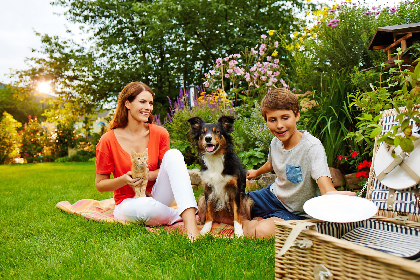 Mit speziellen Präparaten kann man Hund und Katze gegen Parasiten wie Zecken, Flöhe und Haarlinge wirksam schützen. | © Foto: djd/Frontline