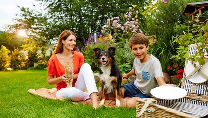 Mit speziellen Präparaten kann man Hund und Katze gegen Parasiten wie Zecken, Flöhe und Haarlinge wirksam schützen. | © Foto: djd/Frontline