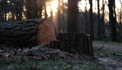 © Unsplash / Erwin Voortman