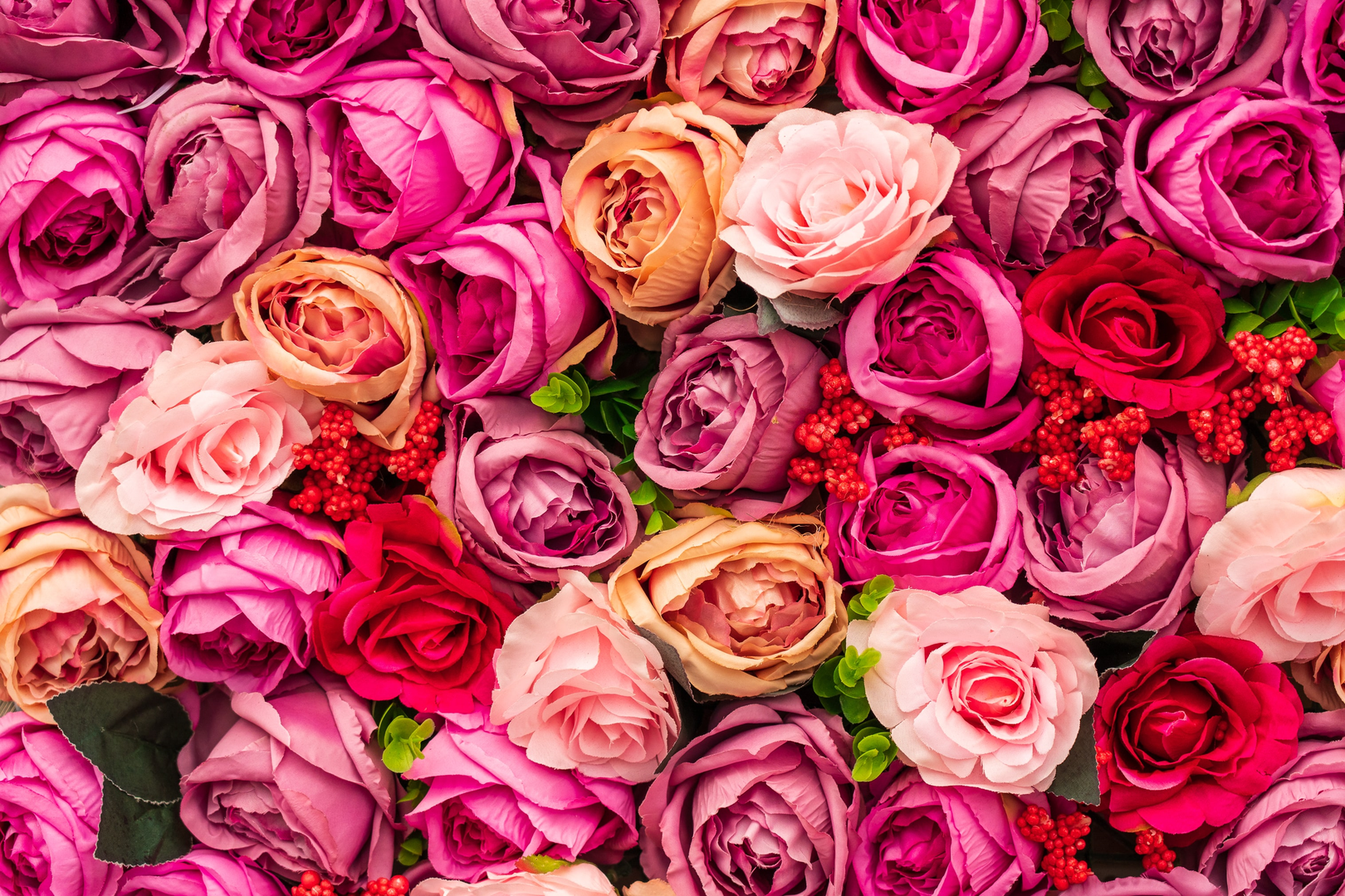 A selection of different artificial coloured roses, ready for Valentine’s Day. | © Unsplash / Nick Fewings
