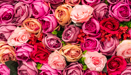 A selection of different artificial coloured roses, ready for Valentine’s Day. | © Unsplash / Nick Fewings
