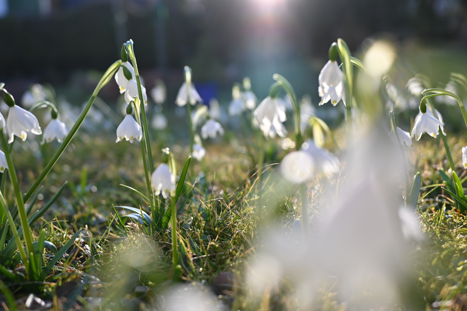 © Unsplash / Markus Ilg