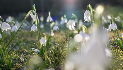 © Unsplash / Markus Ilg