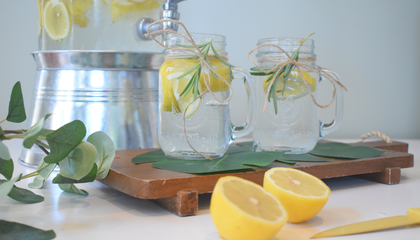Lemon, Lime, Water, Palm Leaf, Rosemary | © Unsplash / Mariah Hewines