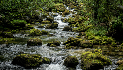 © Unsplash / Leonhard Niederwimmer