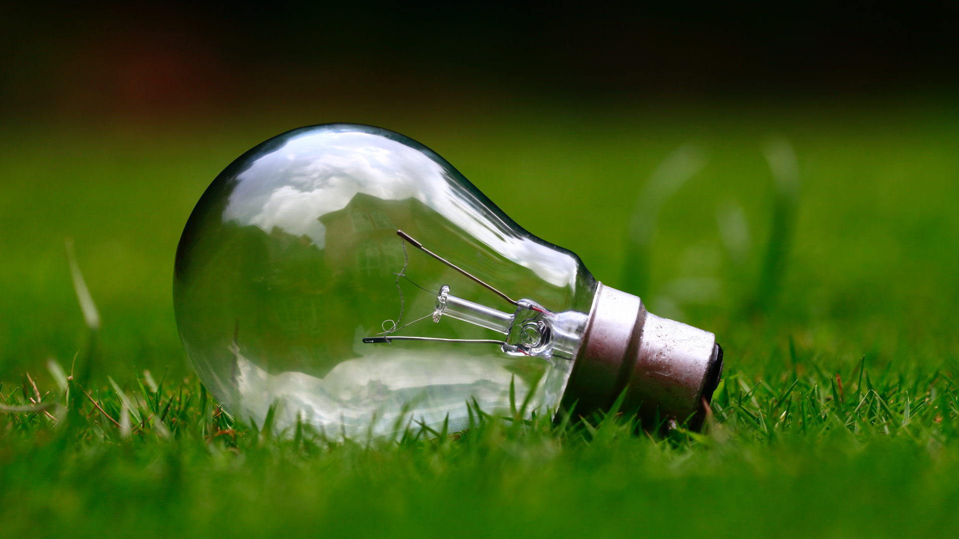 Light bulb on green grass | © Unsplash / Ashes Sitoula