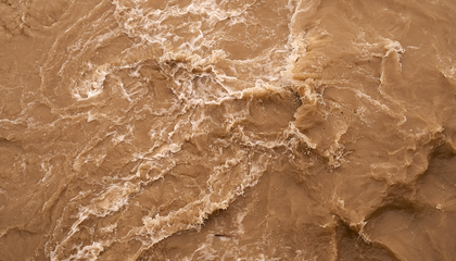 © Unsplash / Wolfgang Hasselmann