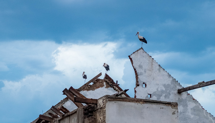 © Unsplash / Nikola Johnny Mirkovic