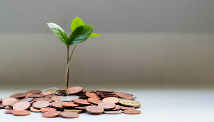 © Unsplash / micheile henderson