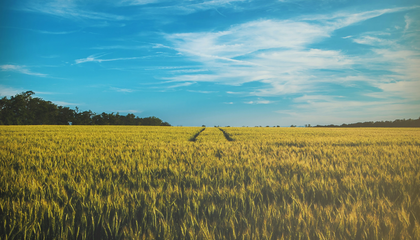 Every time I go out to shoot, I now there will be something that I never thought about. That makes photography so special. That moment you think, oh wow - that looks nice! | © Unsplash / D O M I N I K J P W