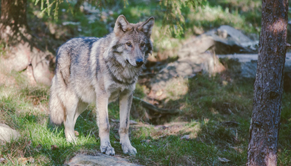 © Unsplash / Robert Larsson