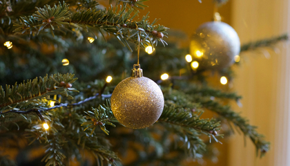 Christmas Tree Bauble | © Unsplash / Gaby Dyson